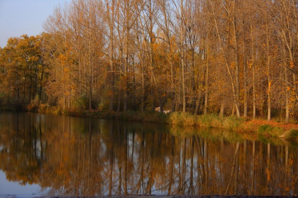 El río dorado, el Duero